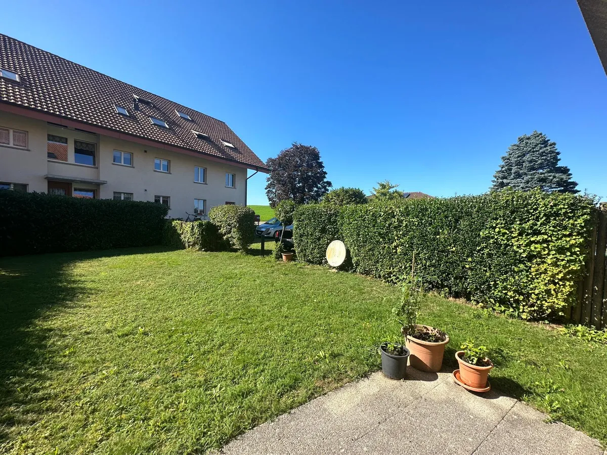 Gartenpflege in Bern: frisch geschnittene Hecke