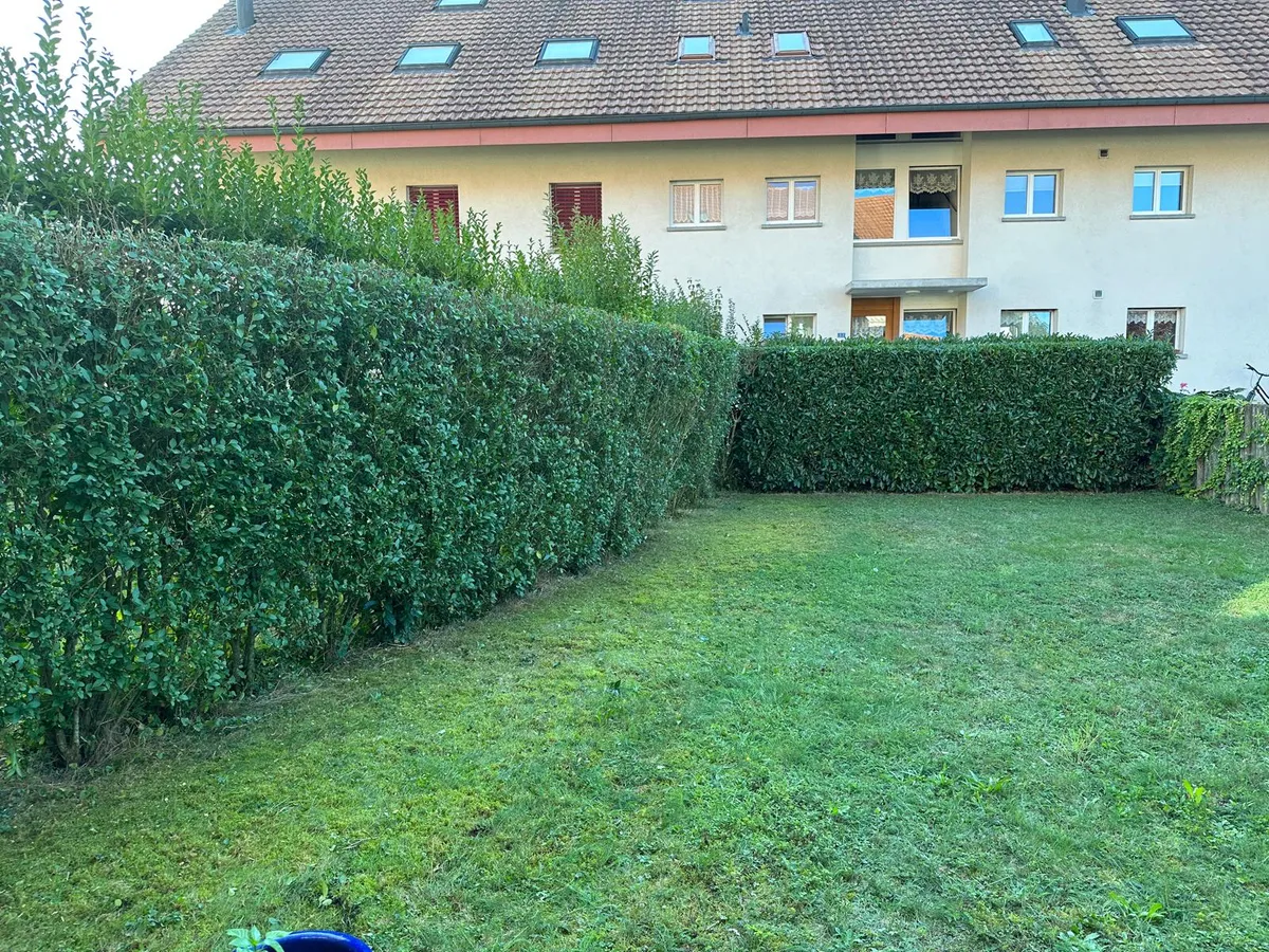 Rasenmähen und Heckenschnitt einer Liegenschaft